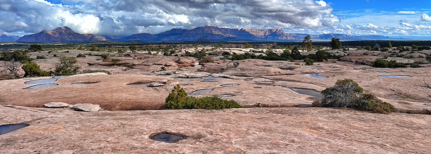 Little Creek Mountain Bike Trail