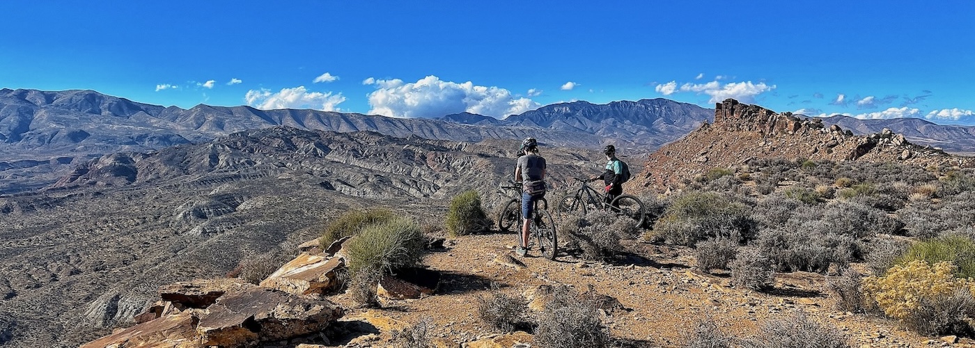 Suicidal Tendencies Mountain Bike Trail