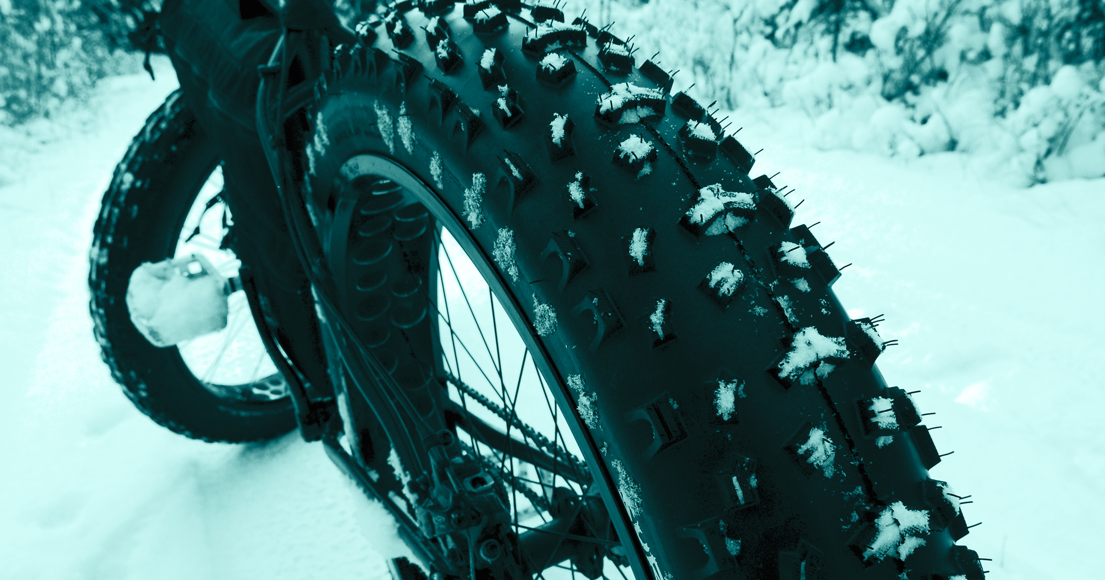 Fatbike Rear Tire